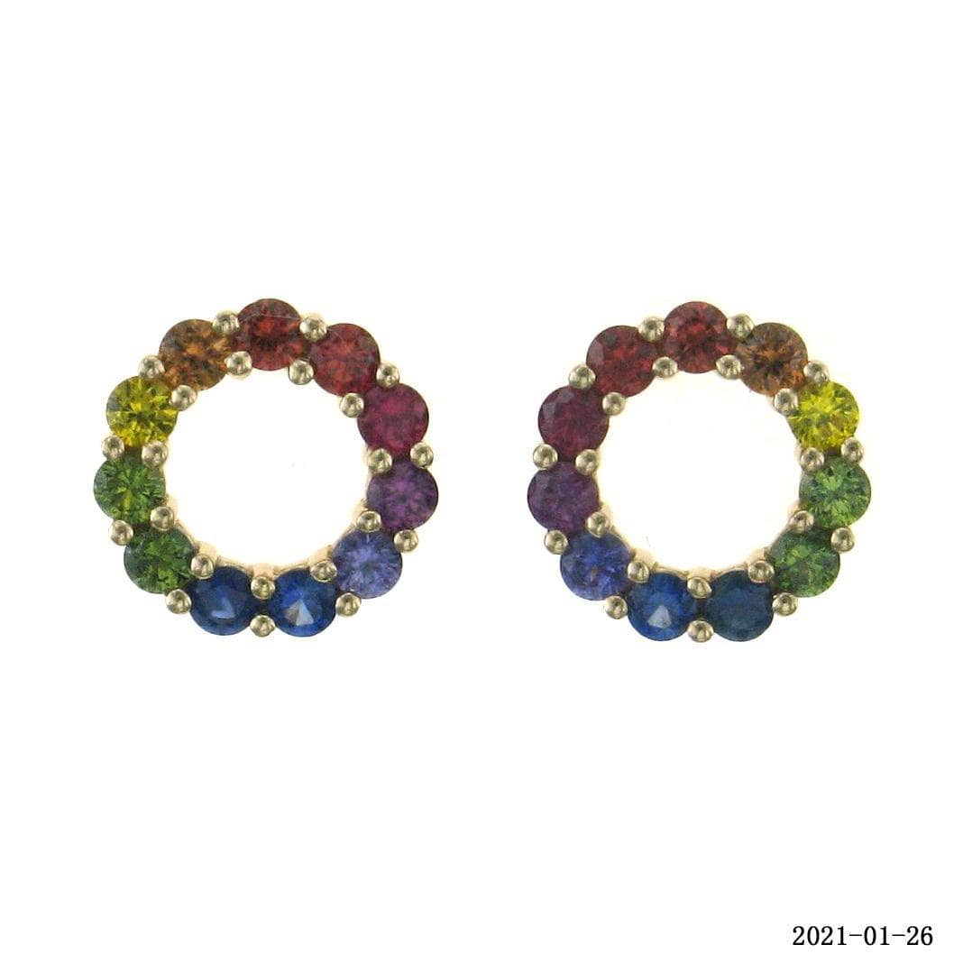 O-Shaped Rainbow Earrings