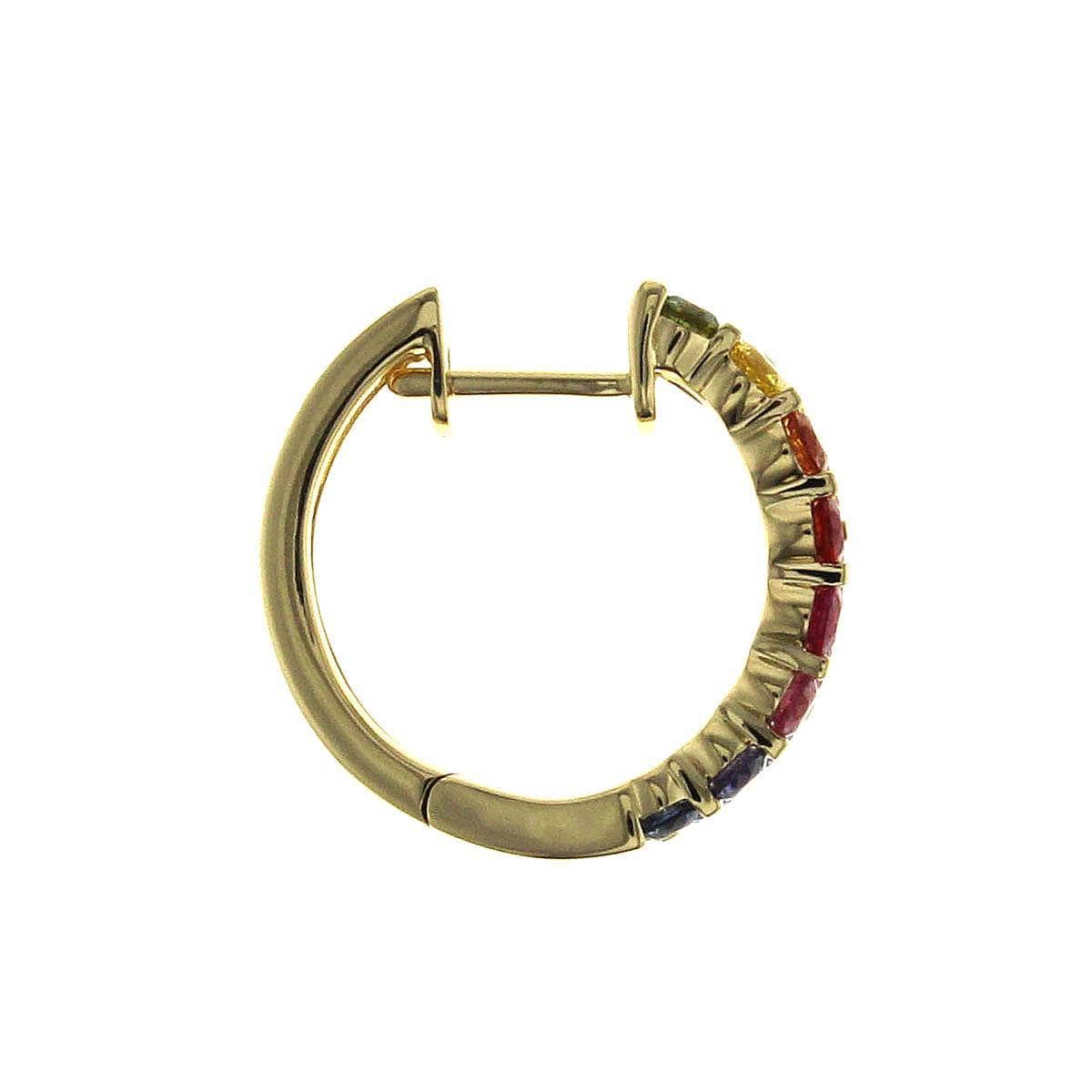 Special Alternating Rainbow Hoop Earrings