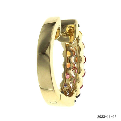 Special Alternating Rainbow Hoop Earrings