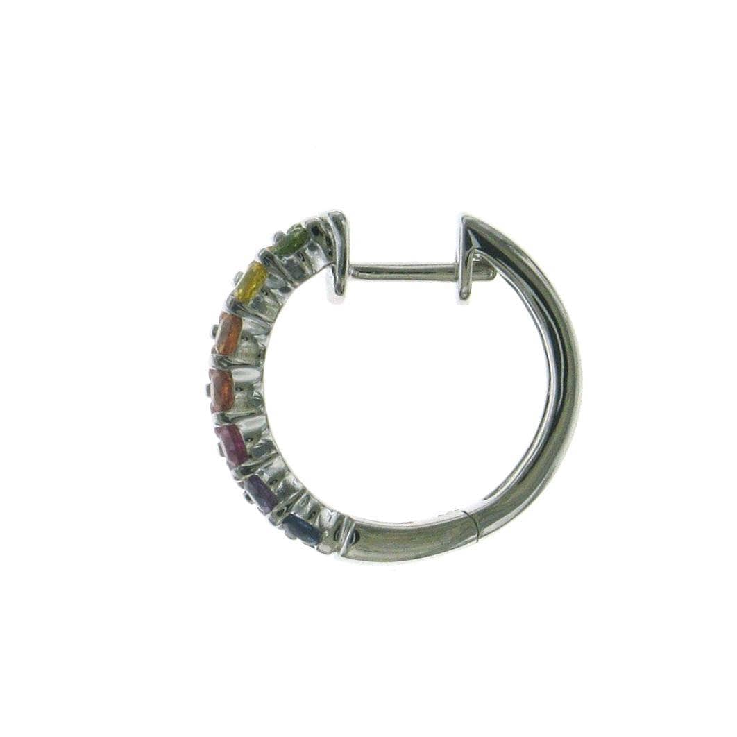 Special Alternating Rainbow Hoop Earrings