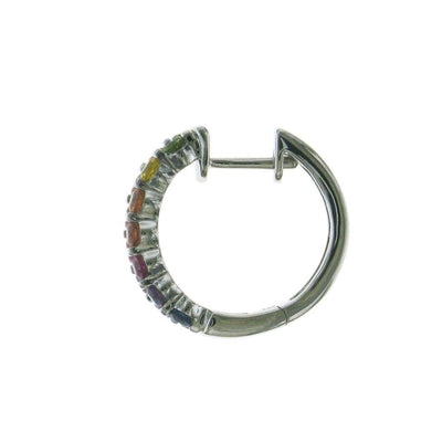 Special Alternating Rainbow Hoop Earrings