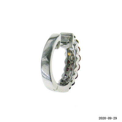Special Alternating Rainbow Hoop Earrings
